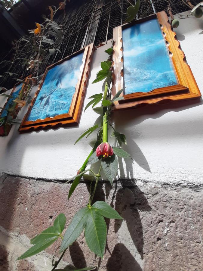 La Casa De Laura - Plaza Hotel Cusco Ngoại thất bức ảnh