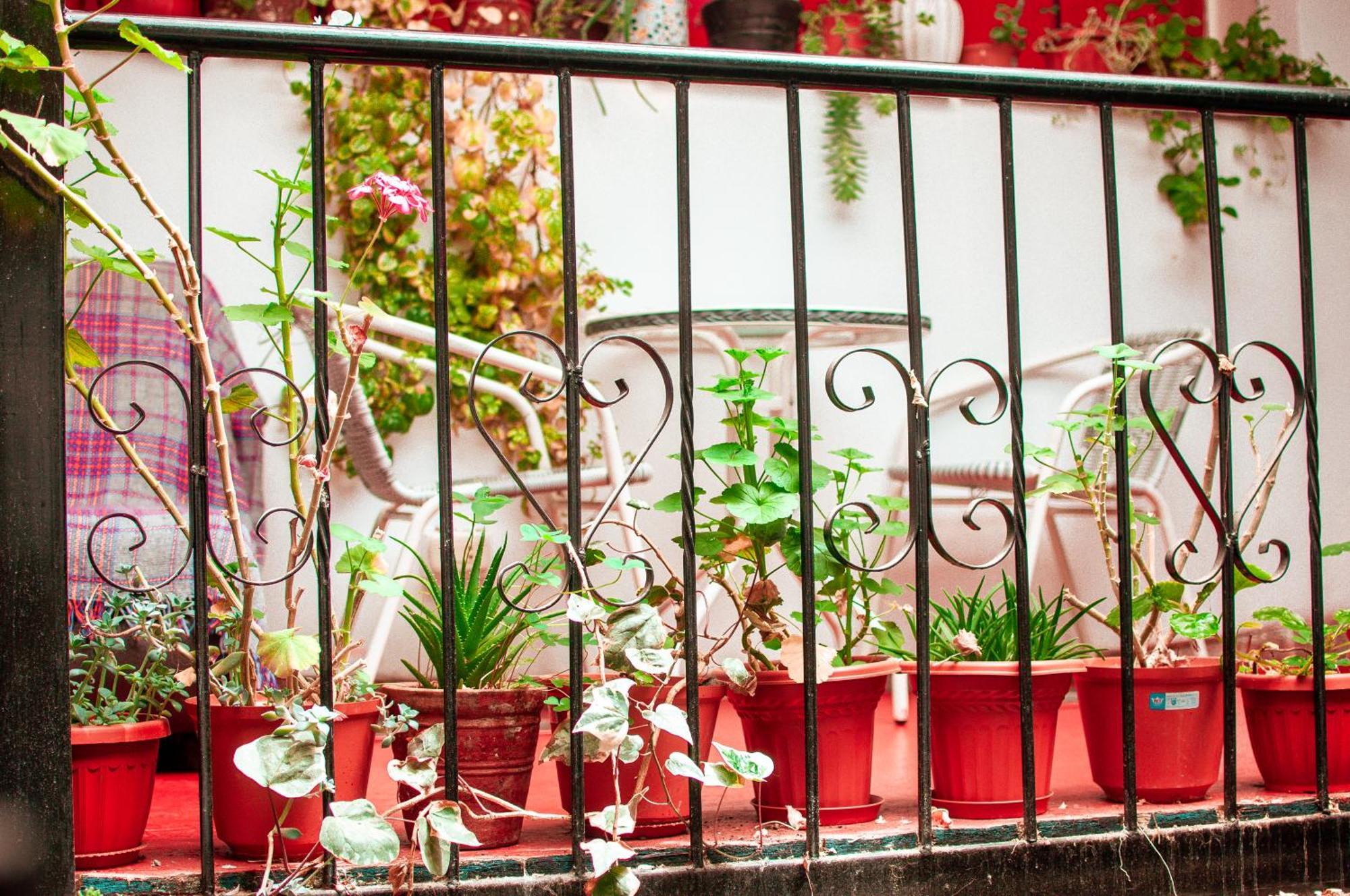 La Casa De Laura - Plaza Hotel Cusco Ngoại thất bức ảnh